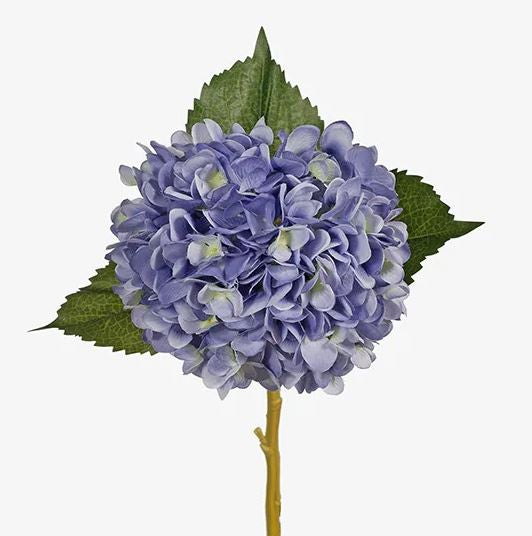 Hydrangea- Blue