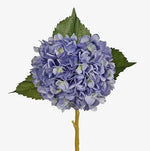Load image into Gallery viewer, Hydrangea- Blue
